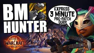 BM Hunter Guide | The War Within Pre-Patch | NEW Talents, Rotations, Gear