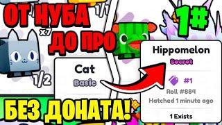 ОТ НУБА ДО ПРО БЕЗ ДОНАТА в PETS GO | ROBLOX!