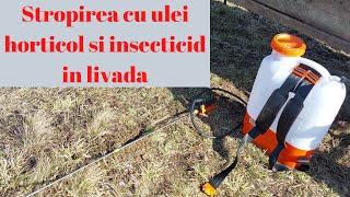 Stropirea cu ulei horticol și insecticid in livadă în repaus vegetativ