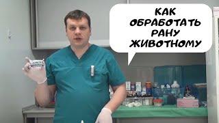 Как обработать рану животному