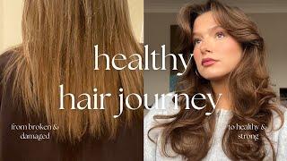 my healthy hair journey | how I transformed my hair from broken bleached to healthy natural