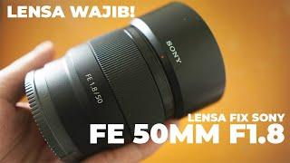 Lensa Sony FE 50mm F1.8 Review | JANGAN BELI SEBELUM NONTON INI!