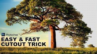 How to Cut-Out a Tree Using Calculations in Photoshop - Easy and Fast Background Remove Technique