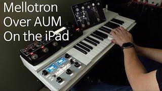 Mellotron Over AUM - Mellotron Flute and Choir Meets Bram Bos Ruismaker, Troublemaker and Rozeta