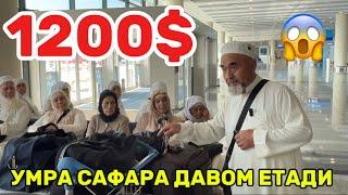 11-ноябр…1200$ Saudiya Arabistoniga sayohat // 2024  14 kunlik ziyorat