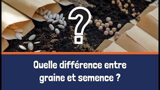 Quelle est la différence entre une graine et une semence ?