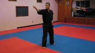 Seisan Sho Kata Demonstration