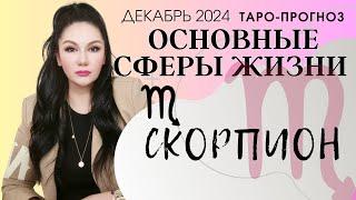 СКОРПИОН ПРОГНОЗ ВСЕ СФЕРЫ ЖИЗНИ НА ДЕКАБРЬ 2024рь