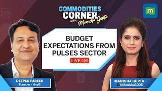 Union Budget 2024: Expectations From Agriculture Sector | Commodities Corner | Live