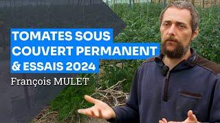 Maraîchage sol vivant sur couverts permanents : les essais 2024 aux Serres de Marcel, François Mulet