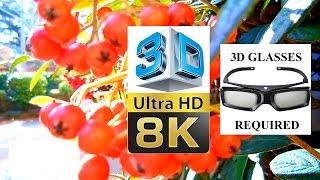 8K [ULTRA-HD] 4320p - 3D