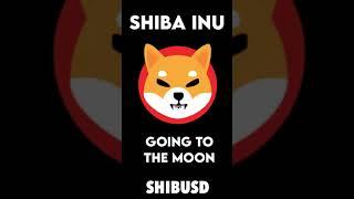 SHIBA INU TO THE MOON