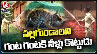 See How Kakatiya Zoological Park Employees Care for Animals in the Summer | waranga l V6Life