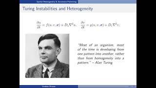 Turing's Theory of Morphogenesis: Modern Methods and Open Questions