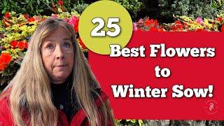 25 Best Flowers to WINTER SOW - Wintering Sowing 101