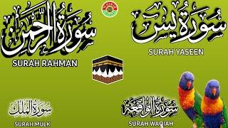 Ep 168 Surah  Yaseen  Surah  Rahman  Surah Waqiah  Surah Mulk  @IQRAALQURANKARIM