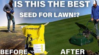 Best Type of Grass for Lawn, Barenbrug RPR rye vs Kentucky Bluegrass review