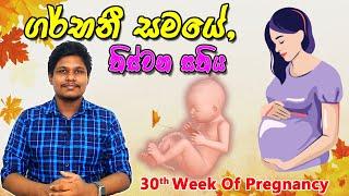 Pregnancy 30th Week | Sinhala Medical Review | අම්මයි බබයි