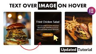 [Updated] Hover Effects Elementor Text over Image on Hover | WordPress Elementor Pro Tutorial
