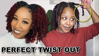 NEW TWIST OUT COMBO that TRANSFORMED MY HAIR! HANGING KNOT METHOD