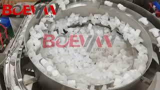 BHD-240DSC Boevan Horizontal Spout Doypack Packing Machine For Washing Liquid