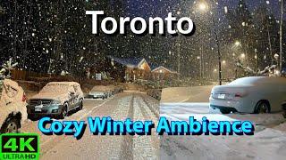 【4K】TORONTO LATE NIGHT NEIGHBORHOOD SNOW WALK | ASMR