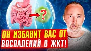 Самый полезный продукт для кишечника на свете! Секрет прост!