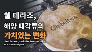 해양 쓰레기 패각류로 만드는 믿을 수 없는 아름다움 / 공공디자인 기업 코발티브