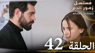 الحلقة 42 | مسلسل زهور الدم | مدبلج بالعربية | Kan Çiçekleri