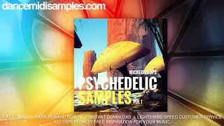 Wicked Loops - Psytrance Samples Vol 1