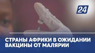 Страны Африки в ожидании вакцины от малярии