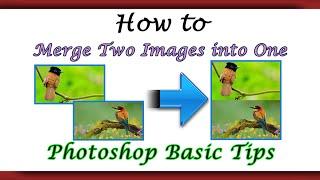 Convert or Merge 2 images into One Vertically - Dual Method |Photoshop Basic|