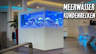 1000 Liter MEERWASSERAQUARIUM - Kundenbesuch nach unserem Neustart - PlanktonPlus Aquaristik