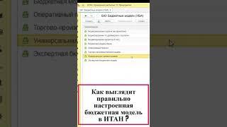 Как выглядит правильно настроенная бюджетная модель