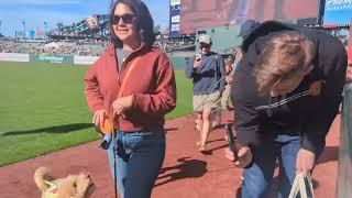 Dog Days at Oracle park April 27th 2024.