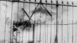 Vesuvius in Eruption,    Video Army USA 1944