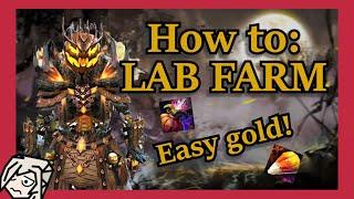 How to LAB FARM — Easy Gold & Candy Corn! | GW2 New Player Guide