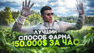 ВЫРАЩИВАНИЕ ЧАЯ - ЛУЧШИЙ ЗАРАБОТОК НА ФЕРМЕ | 150.000$ ЗА ЧАС | MAJESTIC RP ГТА 5