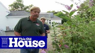 How to Plant a Butterfly Garden | This Old House