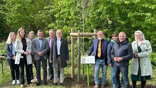 Pflanzung zum ‚Tag des Baumes‘ im LVR-Freilichtmuseum Kommern