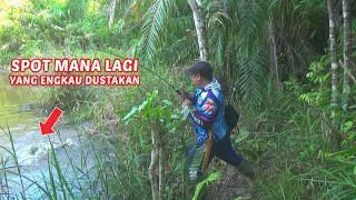 Spot begini yang saya suka. Casting ikan gabus di rawa pedalaman kalimantan.