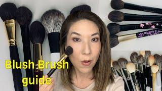 Ultimate Blush Brush video of ALL of my blush brushes!