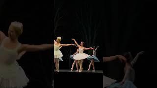 Мария Кошкарева, Дон Кихот, Большой театр 08.10.24 #bolshoitheatre #донкихот