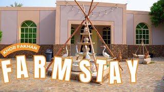 Farm stay with private pool | Khorfakkan | Sharjah | Family gathering | UAE