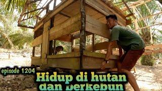 menguras tenaga memindahkan kandang ayam ke posisi baru warta petani muda hidup di hutan