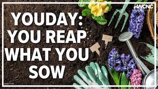 YouDay: You reap what you sow