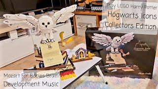 Play LEGO Harry Potter Hogwarts Icons Collectors Edition/ Mozart For Babies Brain Development Music