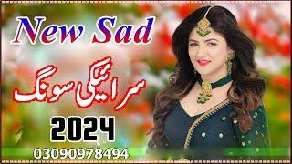 New Saraiki Song 2024 | Saraiki All Singer Songs 2024