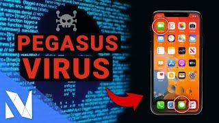 Pegasus Spyware | iPhone & Android Virus - Pegasus erkennen & sich schützen! | Nils-Hendrik Welk