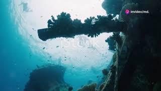 Tourists Attraction in Maldives